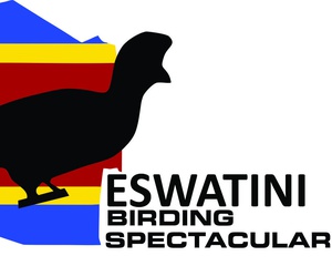 Eswatini Birding Spectacular