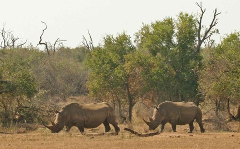 Visit Neighbouring Game Reserves